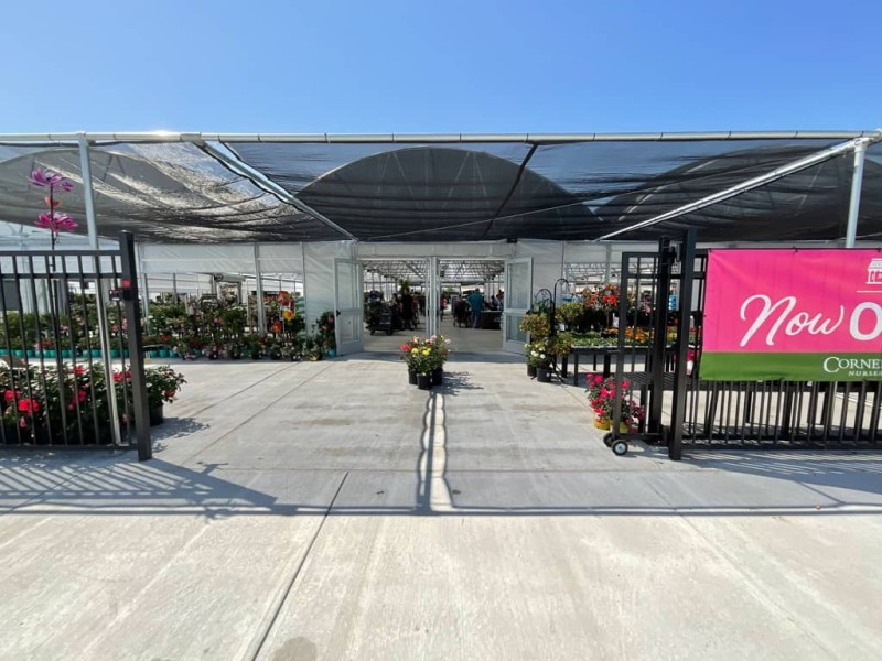 warwick construction cornelius spring tx