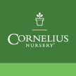 cornelius